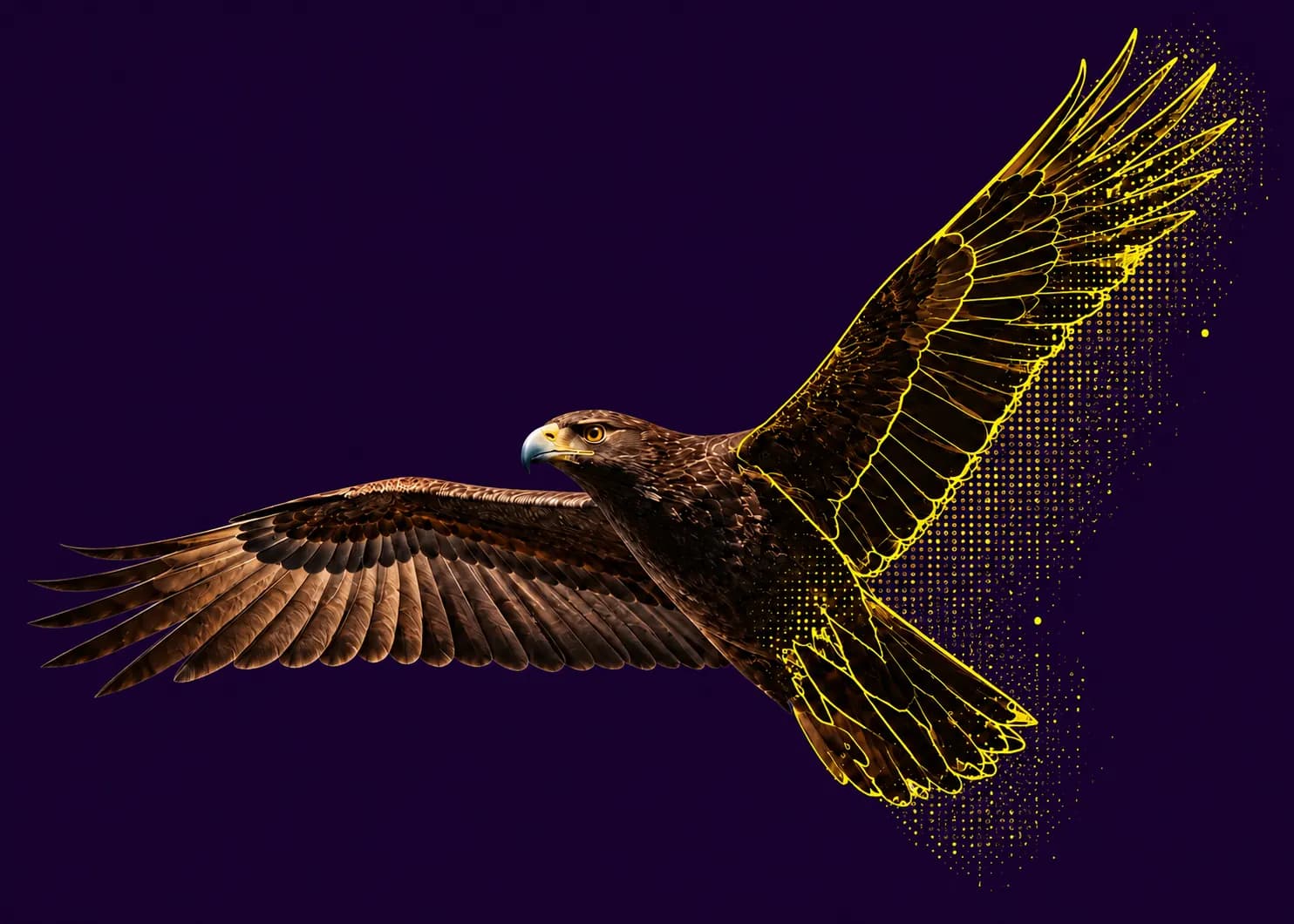 An eagle in flight transforms from a photograph into annotation outlines and points.