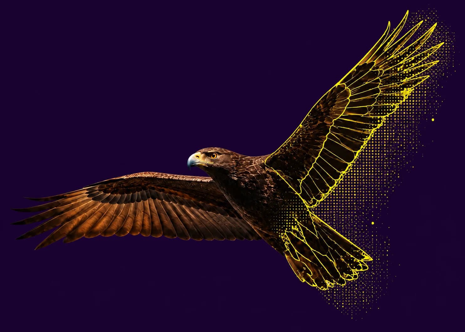 An eagle in flight transforms from a photograph into annotation outlines and points.